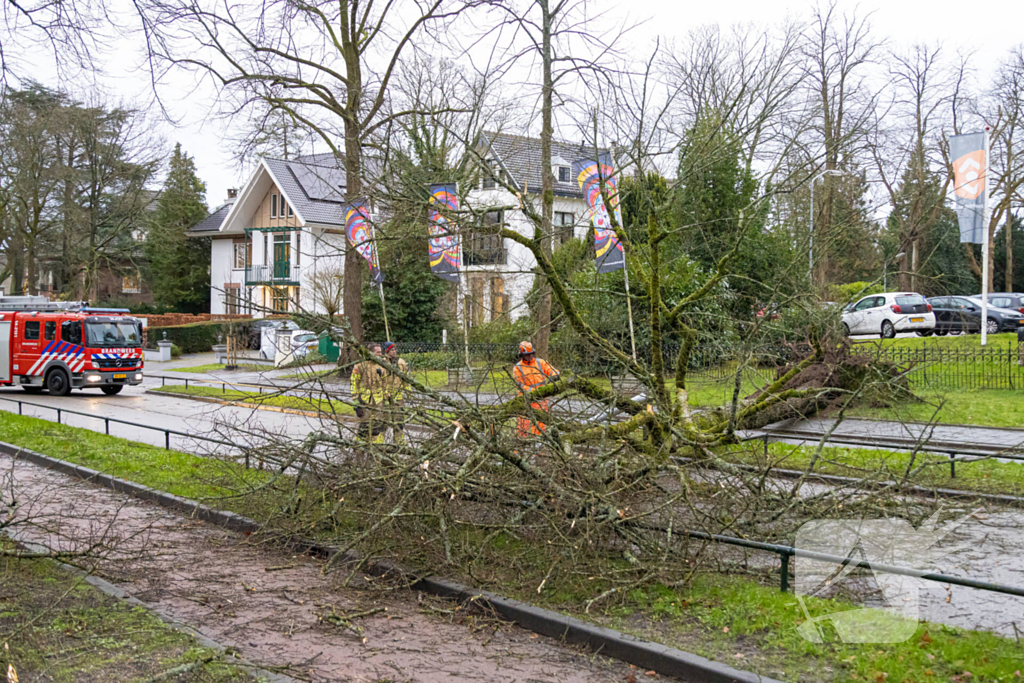 Lantaarnpaal geknakt door omgewaaide boom