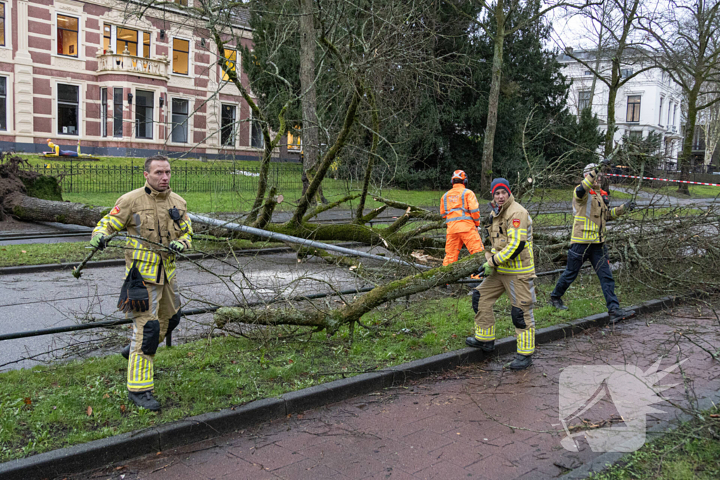 Lantaarnpaal geknakt door omgewaaide boom