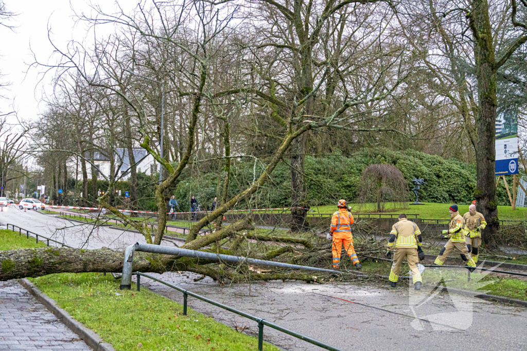 Lantaarnpaal geknakt door omgewaaide boom