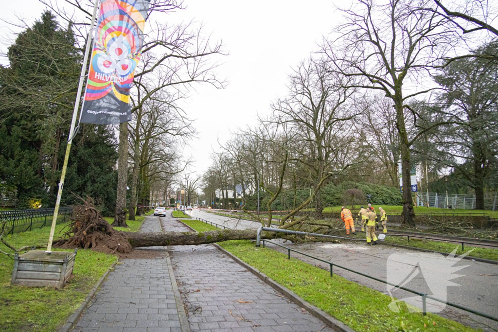 Lantaarnpaal geknakt door omgewaaide boom