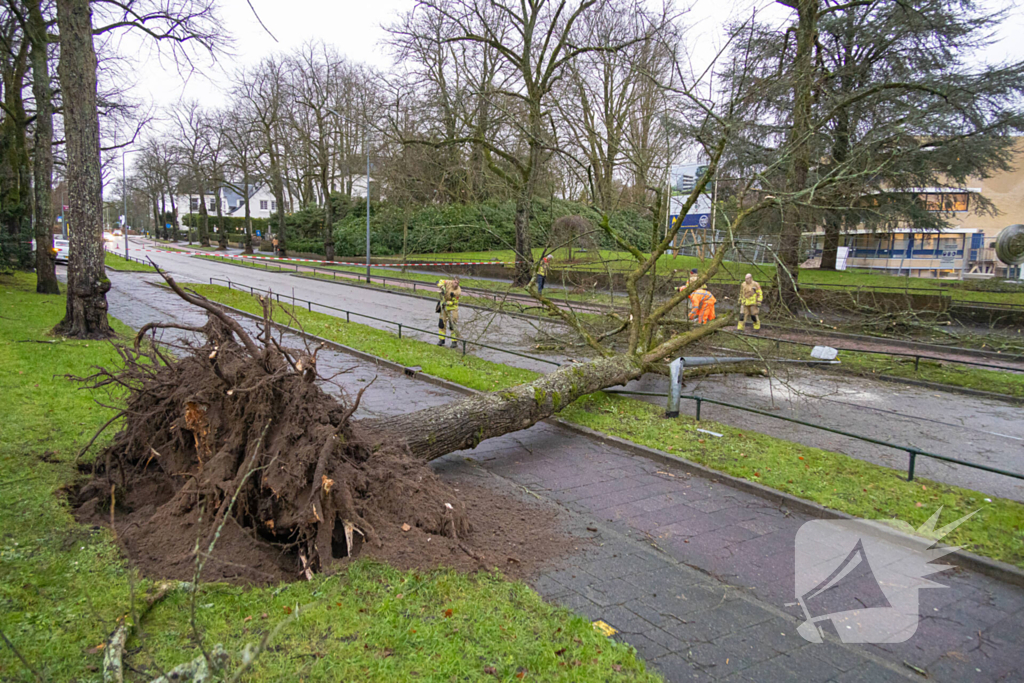 Lantaarnpaal geknakt door omgewaaide boom