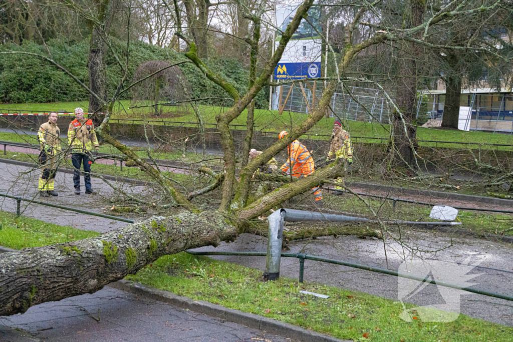 Lantaarnpaal geknakt door omgewaaide boom