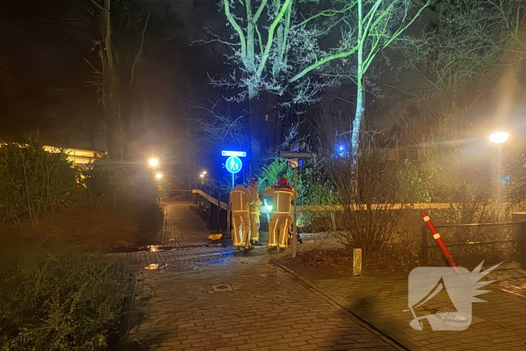 Grote boom blokkeert voetpad