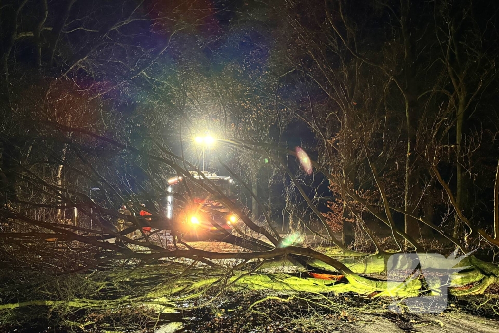 Boom blokkeert weg, brandweer maakt rijbaan vrij