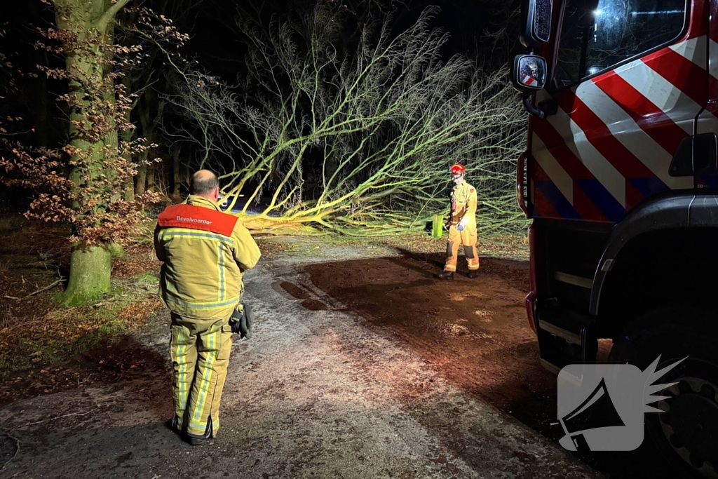 Boom blokkeert weg, brandweer maakt rijbaan vrij