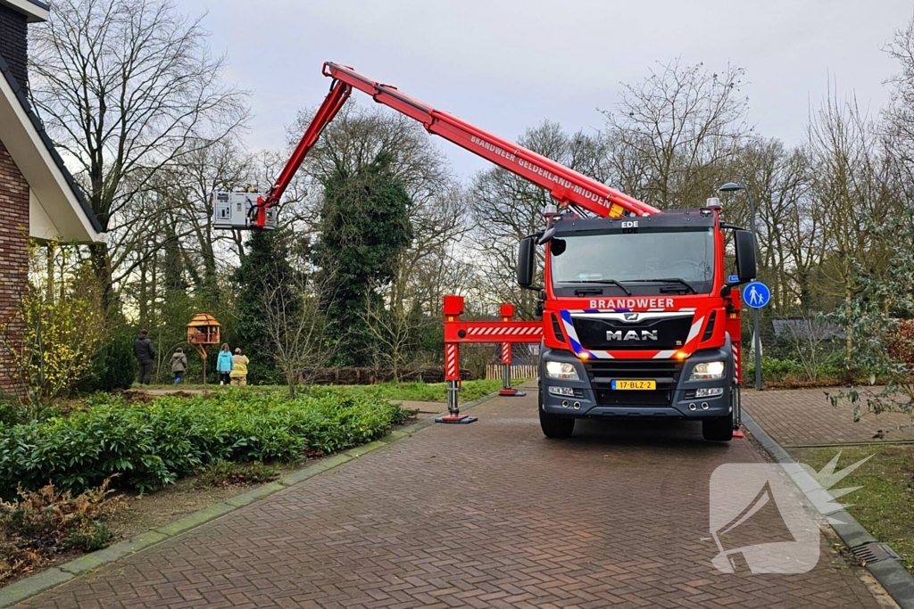 Gevaarlijk hangende tak over drukke wandelroute verwijderd