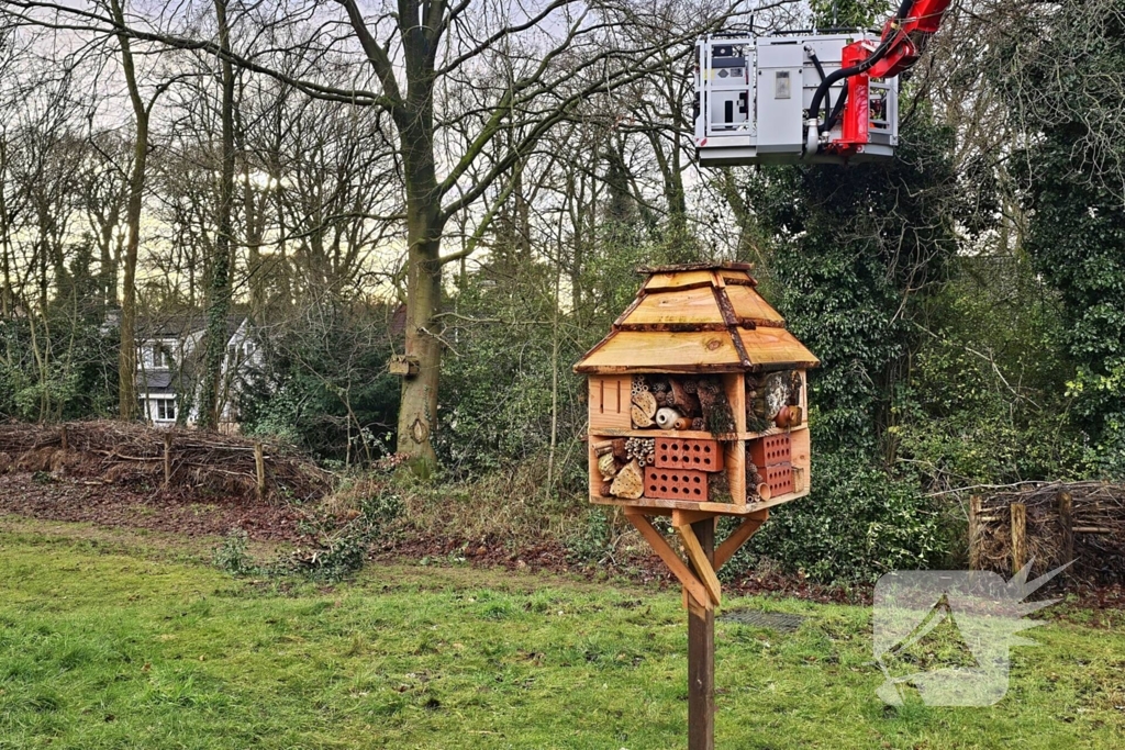 Gevaarlijk hangende tak over drukke wandelroute verwijderd