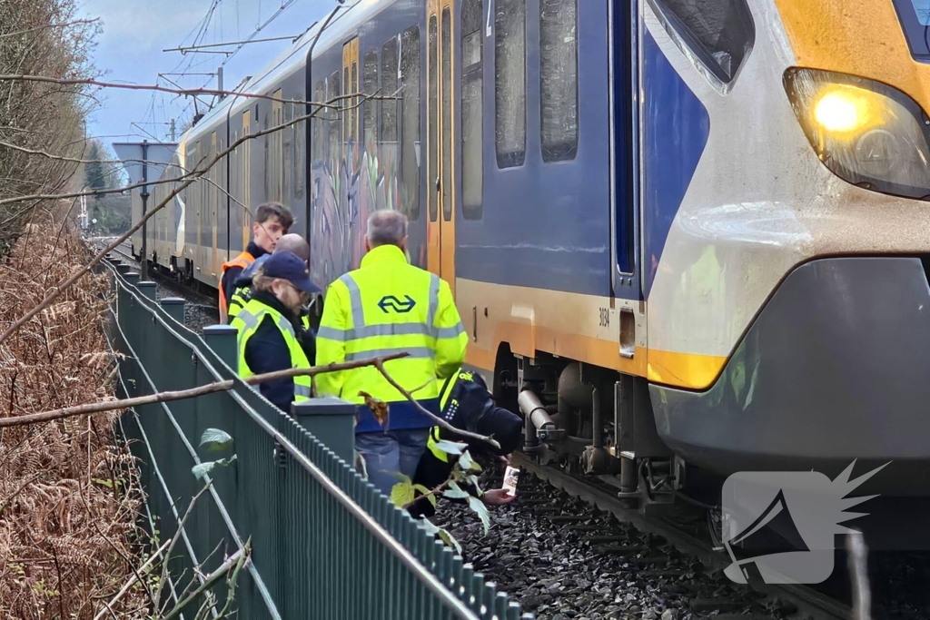 Passagierstrein en voertuig botsen op spoorwegovergang