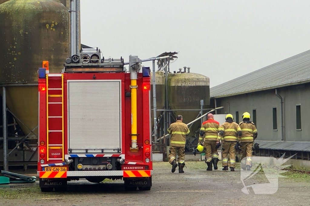 Brandweer ingezet voor dier in nood