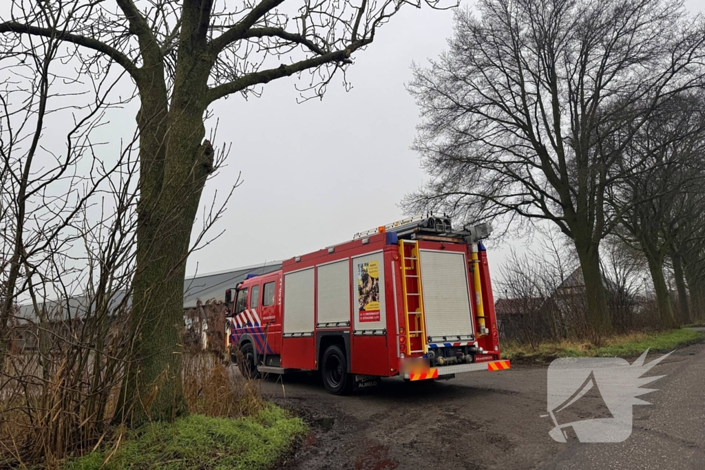 Brandweer ingezet voor dier in nood