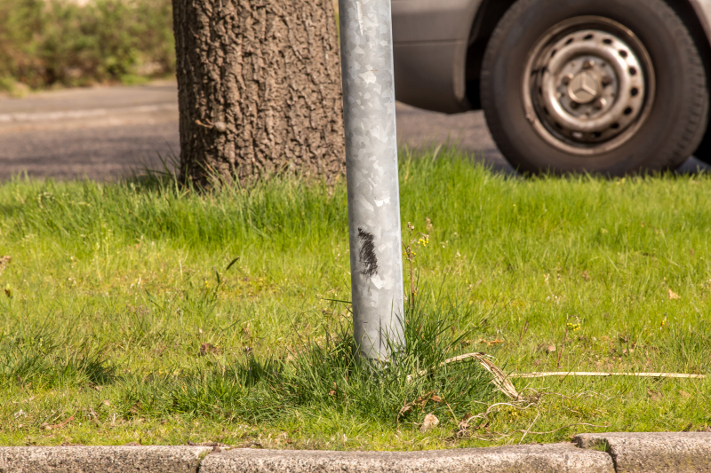 Automobilist botst tegen verkeerspaal