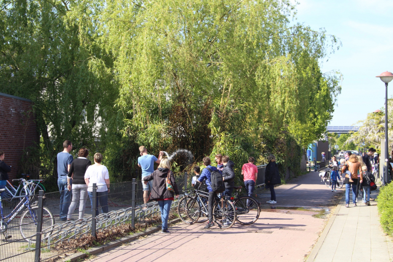 Buurtbewoners blussen brandend riet