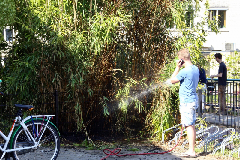 Buurtbewoners blussen brandend riet