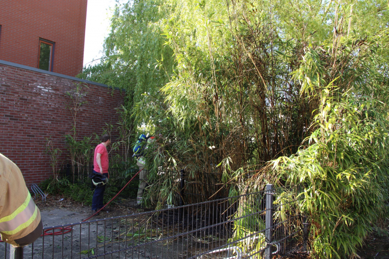 Buurtbewoners blussen brandend riet