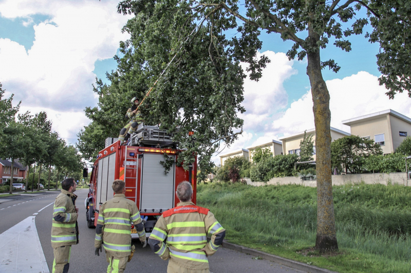 Brandweer verwijdert loshangende takken