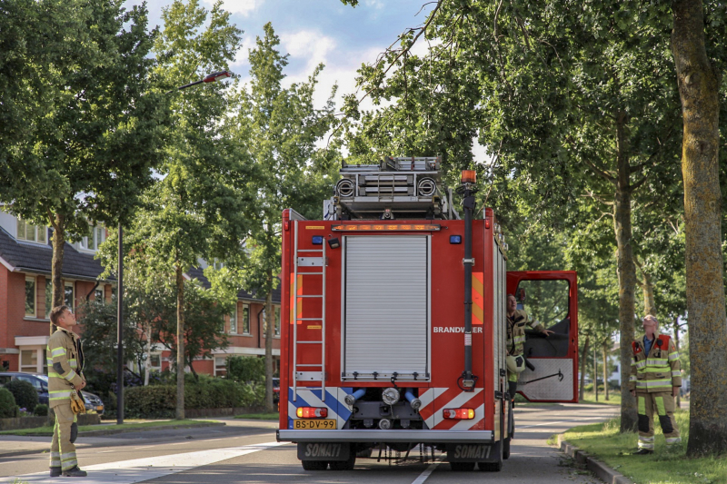 Brandweer verwijdert loshangende takken