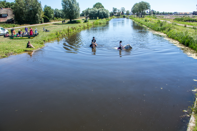 Zowel mens als dier zoeken verkoeling op