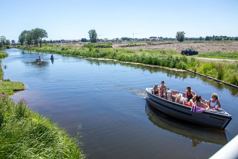 Zowel mens als dier zoeken verkoeling op