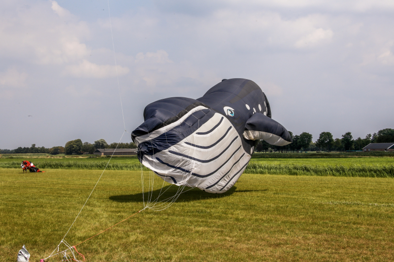 Mega-kites opgelaten boven Vathorst