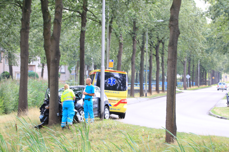 Bestuurder knalt tegen boom