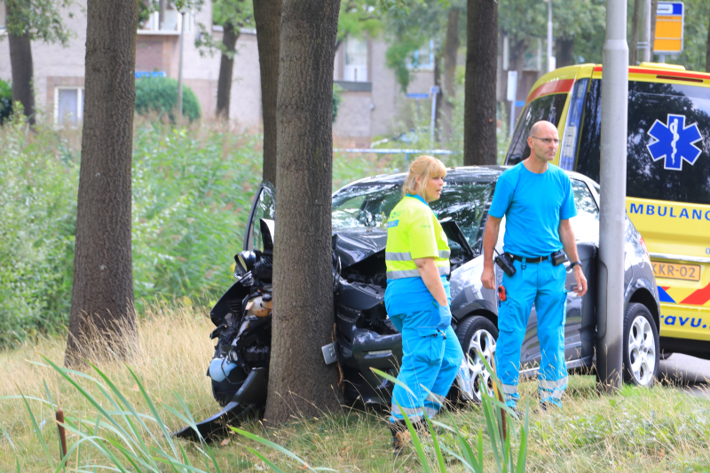 Bestuurder knalt tegen boom