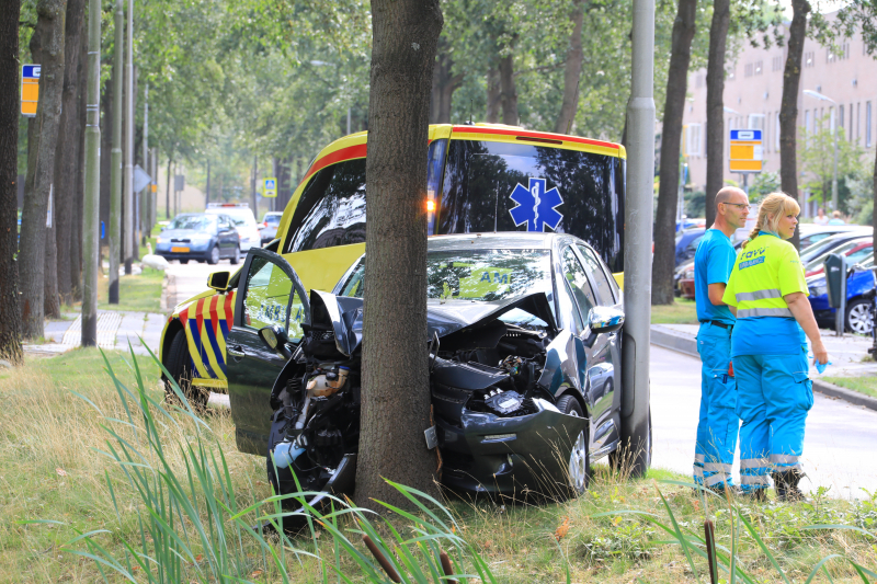 Bestuurder knalt tegen boom