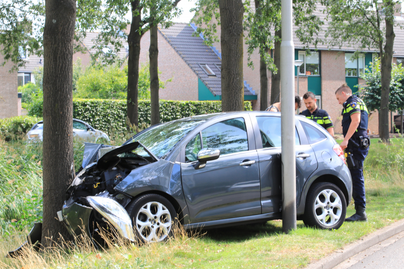 Bestuurder knalt tegen boom