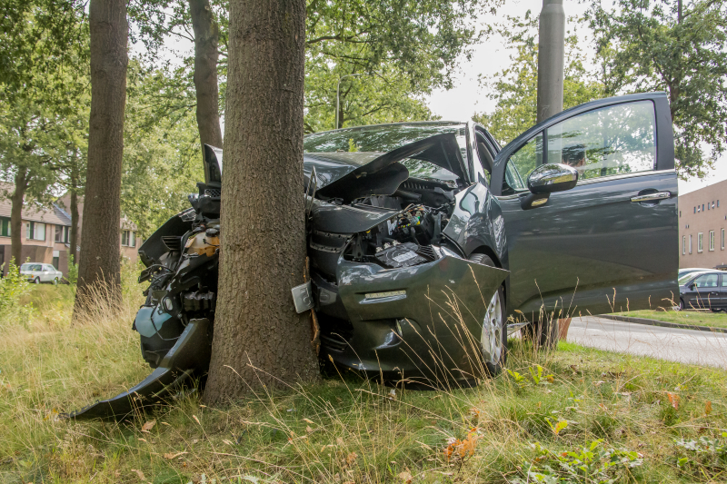 Bestuurder knalt tegen boom