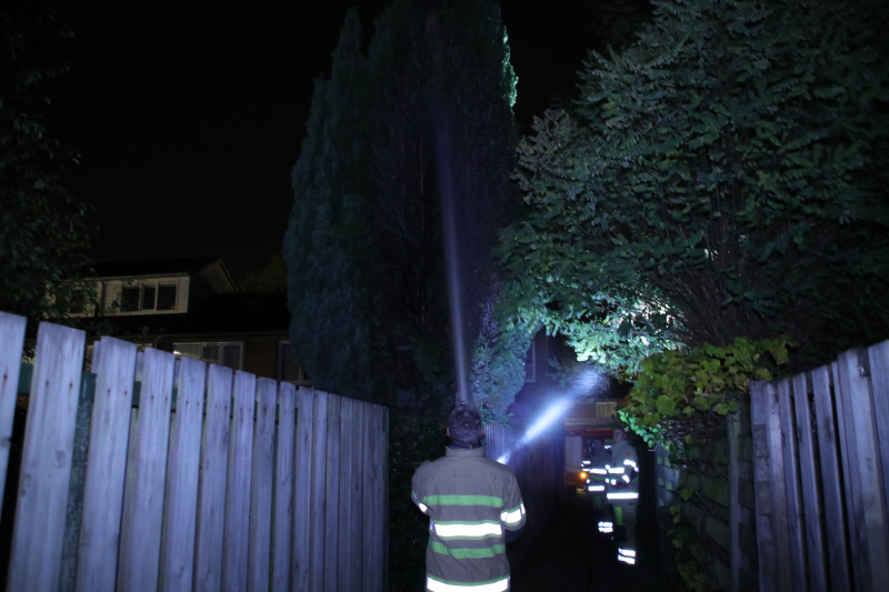 Conifeer in brand gestoken