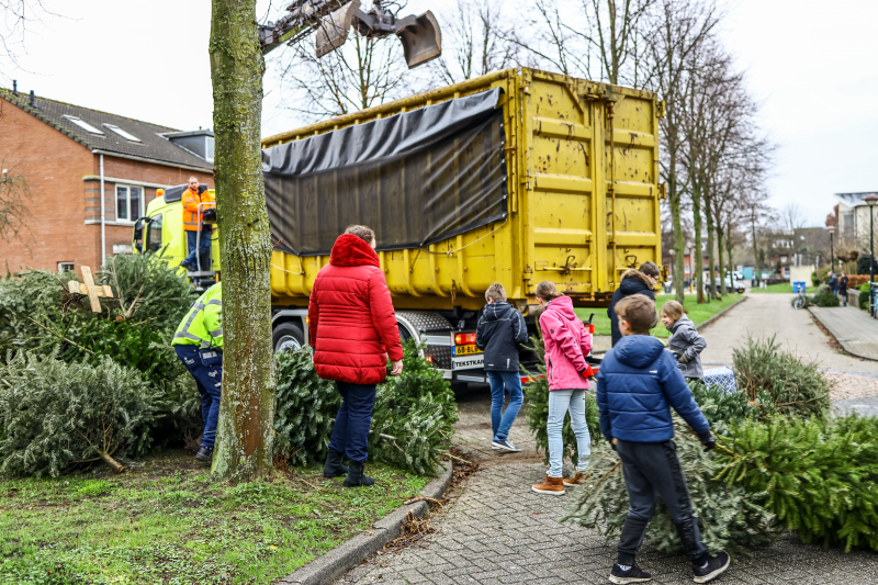 Buurt druk in de weer met ingezamelde kerstbomen