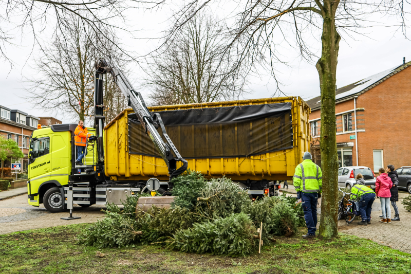 Buurt druk in de weer met ingezamelde kerstbomen