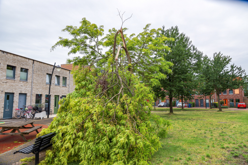 Boom omgeknakt door storm