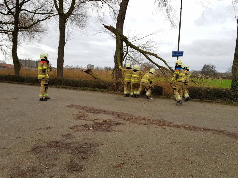 Grote takken vallen op wegdek door storm