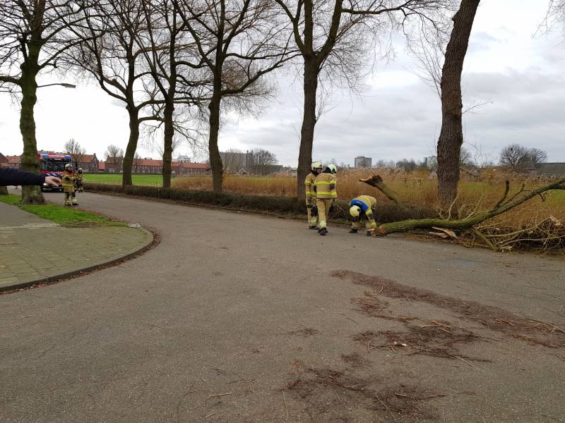 Grote takken vallen op wegdek door storm