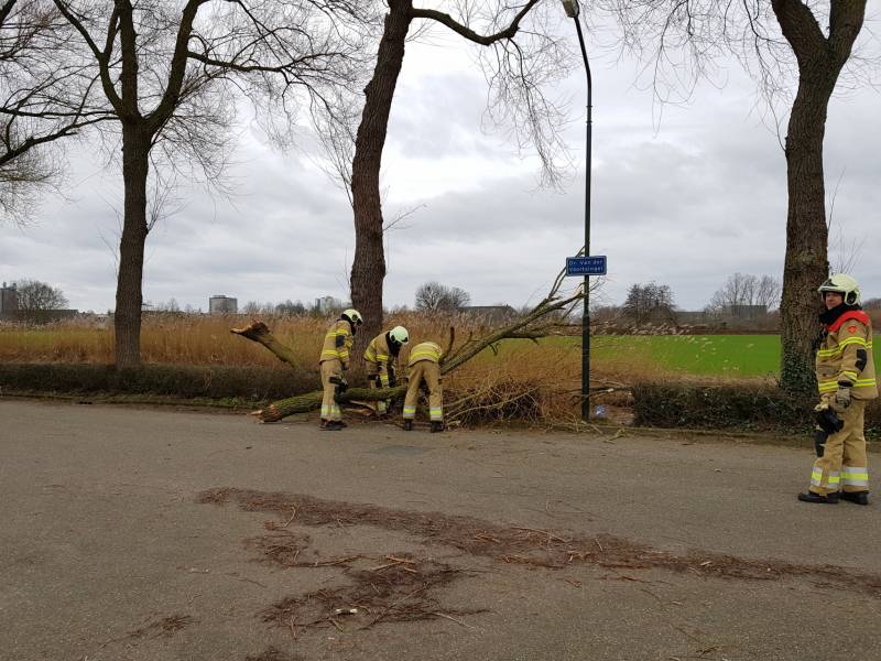 Grote takken vallen op wegdek door storm