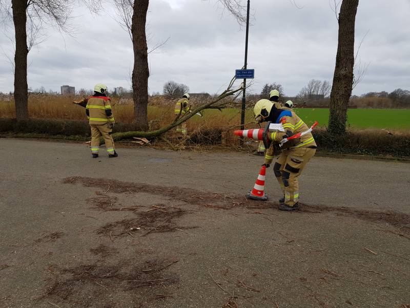 Grote takken vallen op wegdek door storm