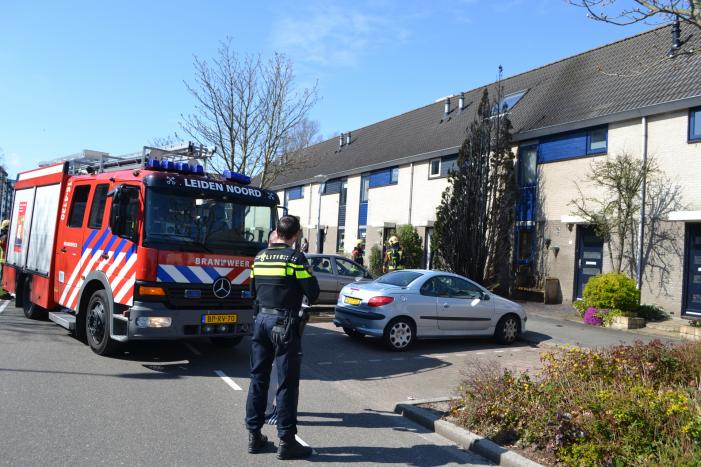 Buurtbewoners blussen brand in dennenboom