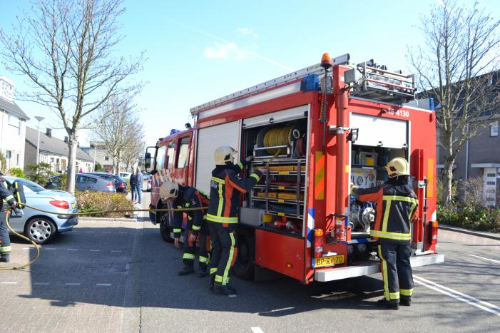 Buurtbewoners blussen brand in dennenboom