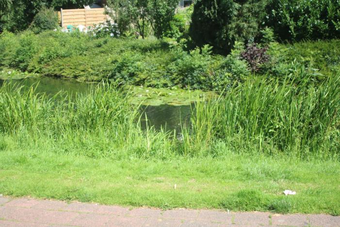 Kinderwagen met baby raakt te water