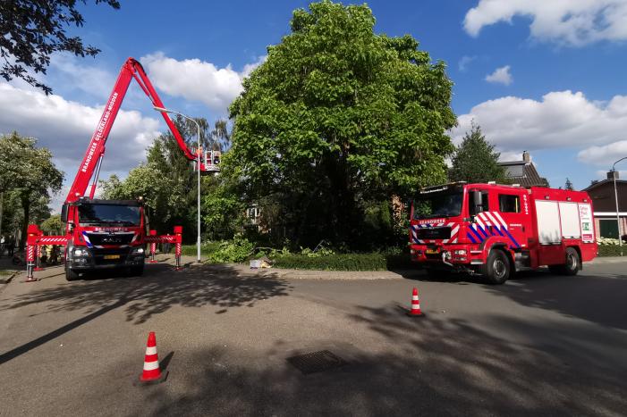 Brandweer verwijdert gevaarlijk hangende takken