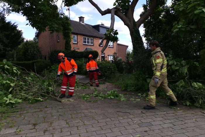 Brandweer verwijdert gevaarlijk hangende takken