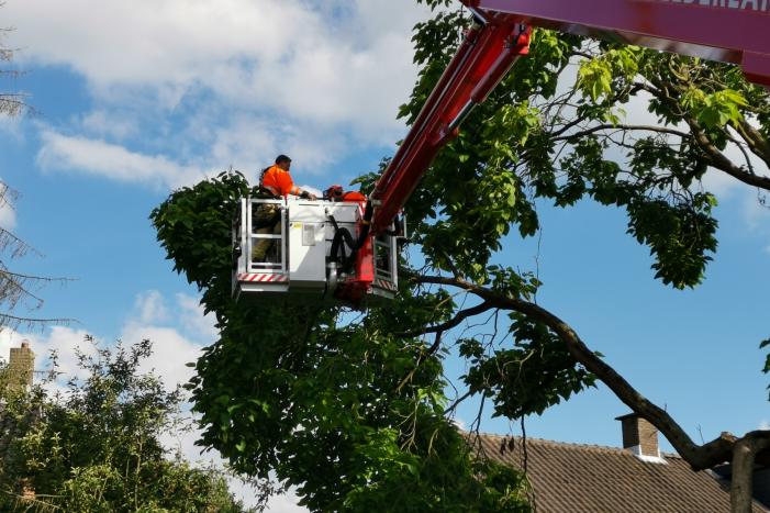 Brandweer verwijdert gevaarlijk hangende takken