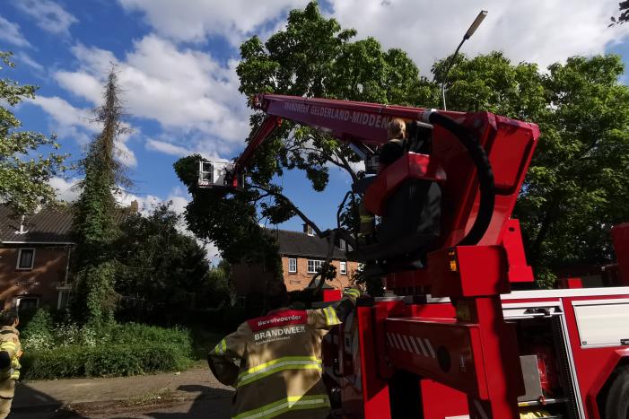 Brandweer verwijdert gevaarlijk hangende takken