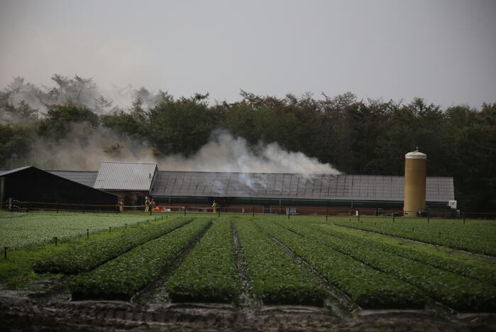 Grote brand in varkensstal gepaard met veel rook