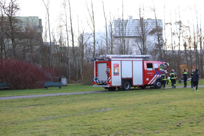 Brand in container snel geblust