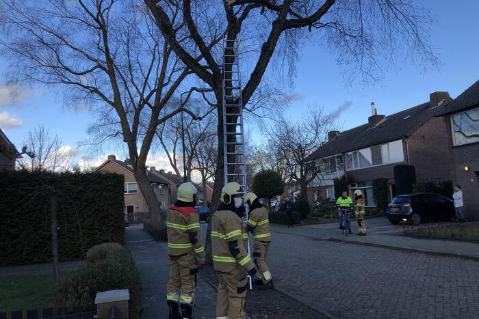 Brandweer haalt hangende tak weg