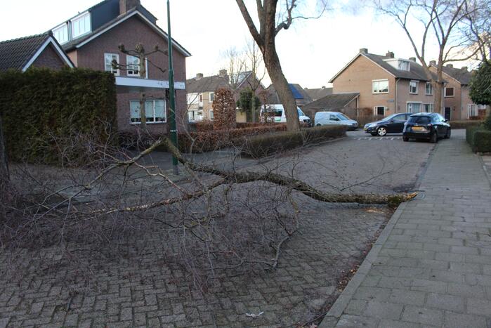 Brandweer haalt hangende tak weg