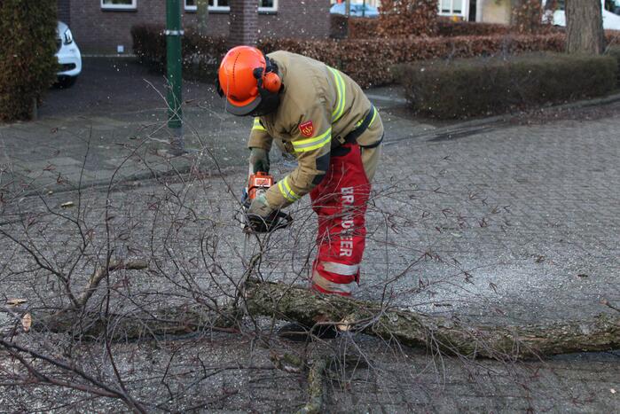 Brandweer haalt hangende tak weg