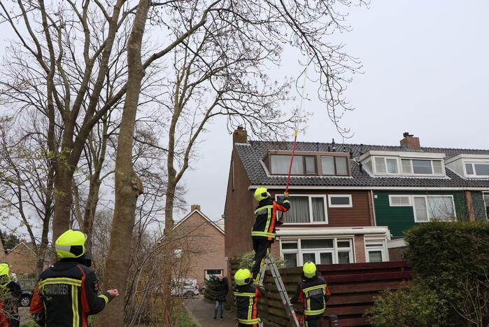 Brandweer verwijderd los hangende tak