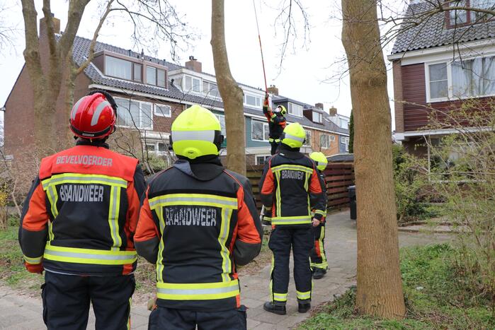 Brandweer verwijderd los hangende tak